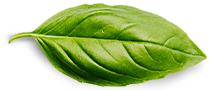 Главная