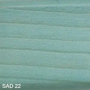 SAD 22