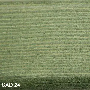 SAD 24