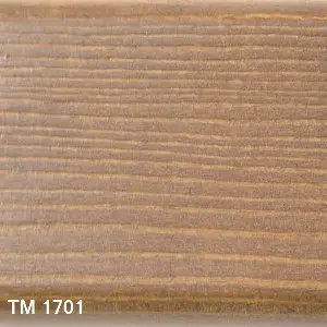 TM 1701