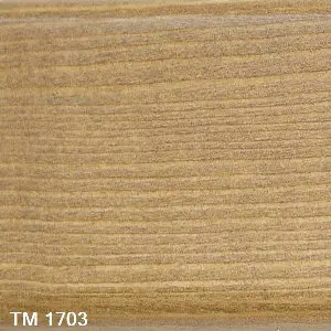 TM 1703