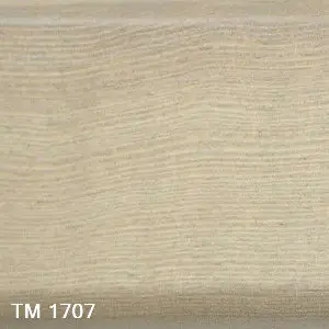 TM 1707