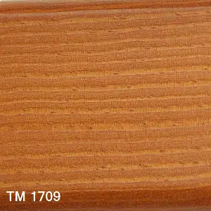 TM 1709