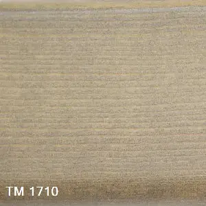 TM 1710