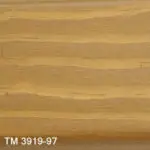 TM 3919/97