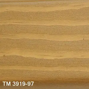 TM 3919/97
