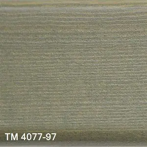 TM  4077/97