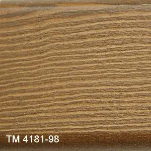 TM 4181/98