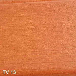 TV 13