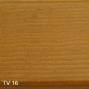 TV 16
