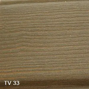 TV 33