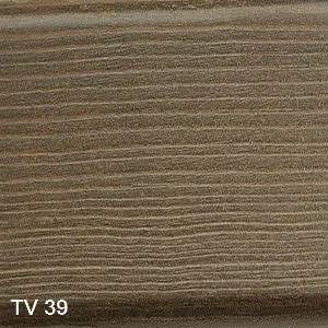 TV 39