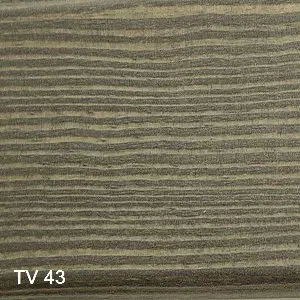 TV 43