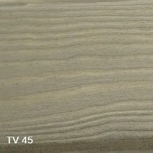 TV 45