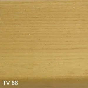 TV 88